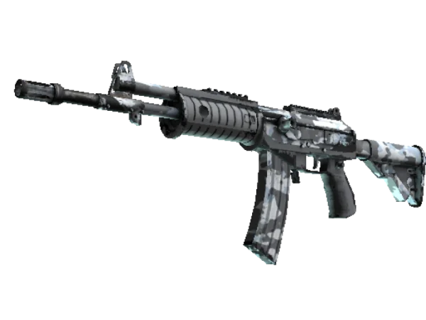 Galil AR | Winter Forest (Well-Worn)