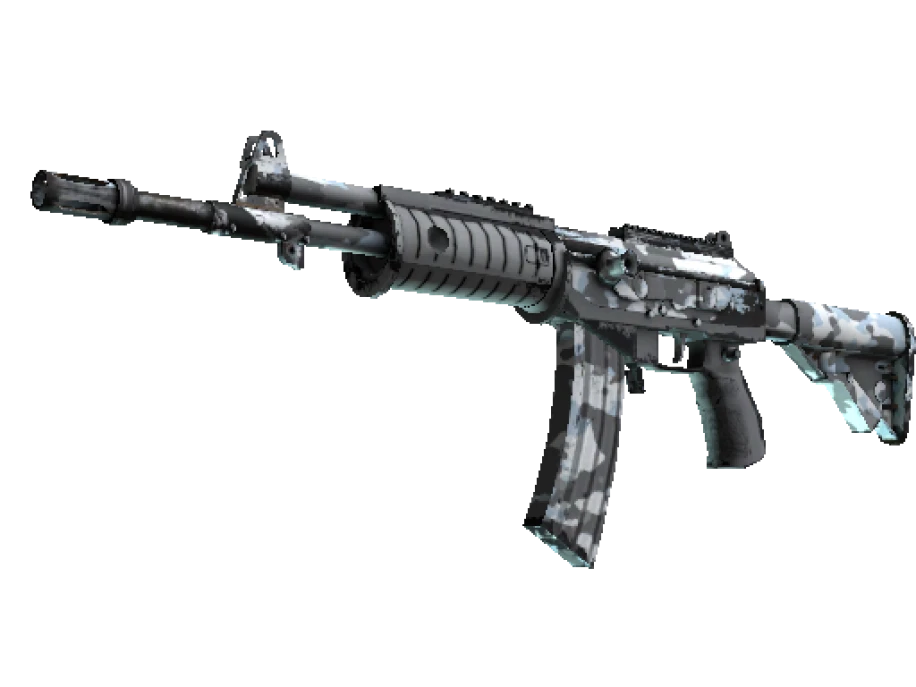 Galil AR | Winter Forest (Well-Worn)