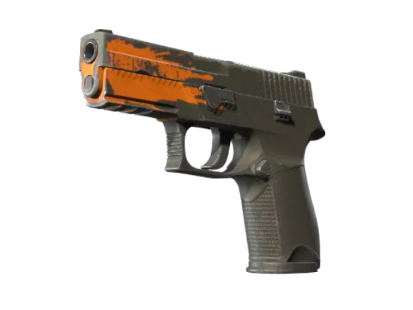 P250 | Splash (Field-Tested)