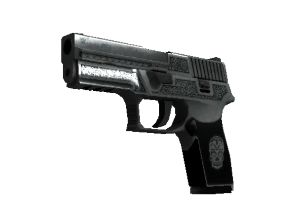 StatTrak™ P250 | Cartel (Well-Worn)