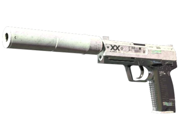 StatTrak™ USP-S | Printstream (Battle-Scarred)