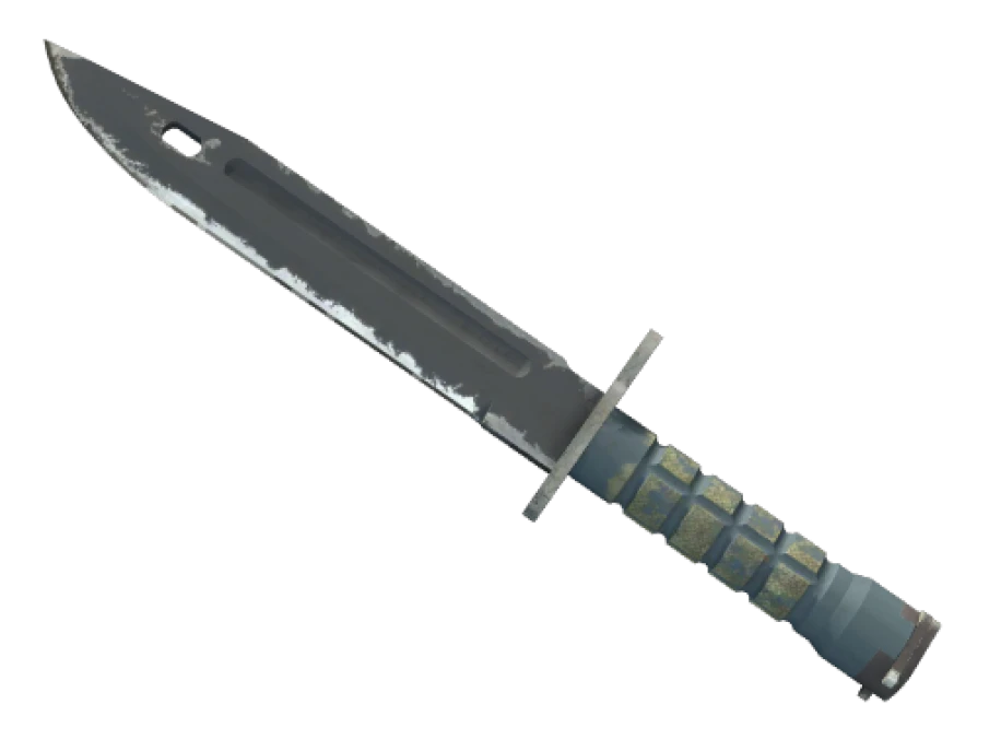 ★ Bayonet | Night (Field-Tested)