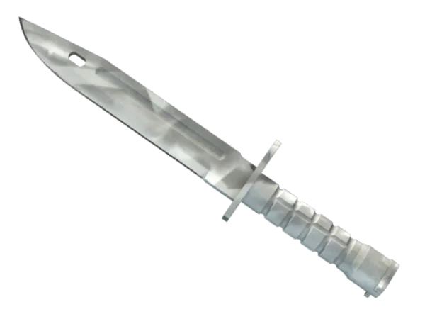 ★ Bayonet | Urban Masked (Minimal Wear)