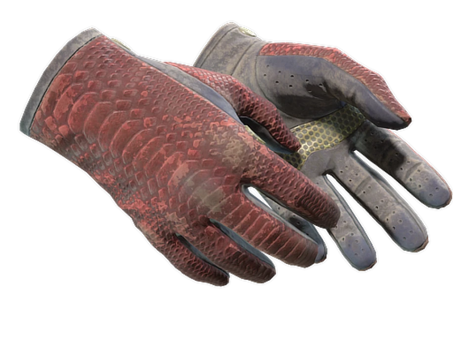 ★ Driver Gloves | Dragon Fists (Battle-Scarred)