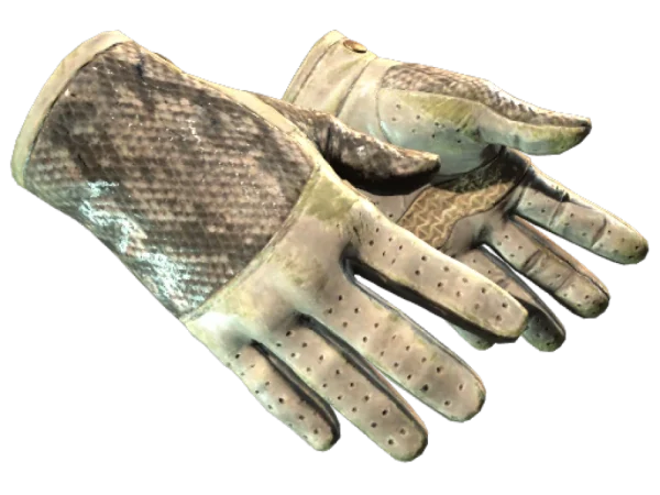 ★ Driver Gloves | King Snake (Battle-Scarred)