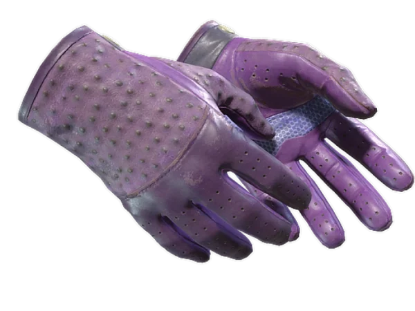 ★ Driver Gloves | Plum Quill (Field-Tested)