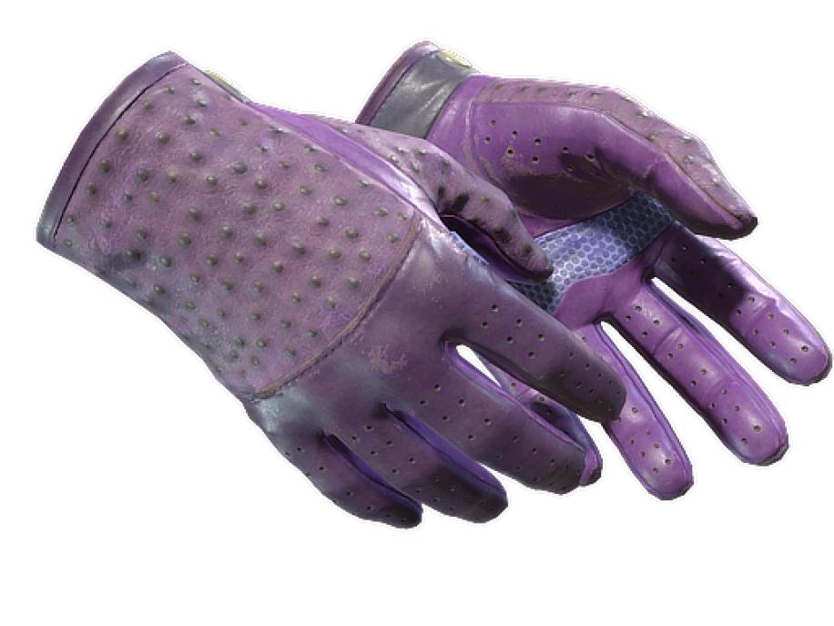 ★ Driver Gloves | Plum Quill (Field-Tested)
