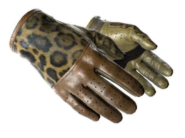 ★ Driver Gloves | Queen Jaguar (Minimal Wear)