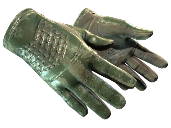 ★ Driver Gloves | Racing Green (Battle-Scarred)