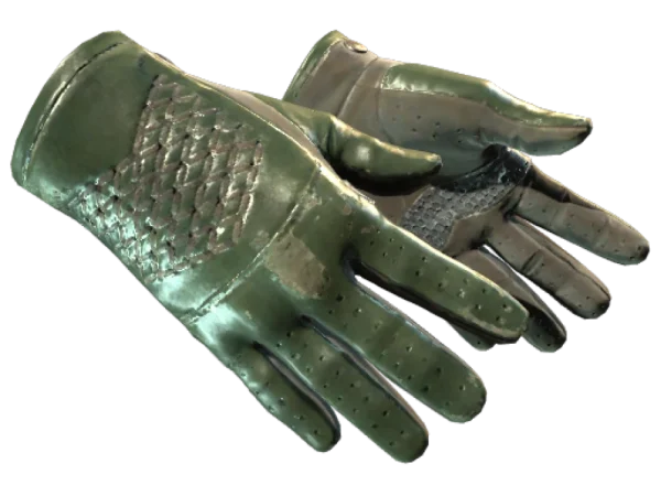 ★ Driver Gloves | Racing Green (Field-Tested)