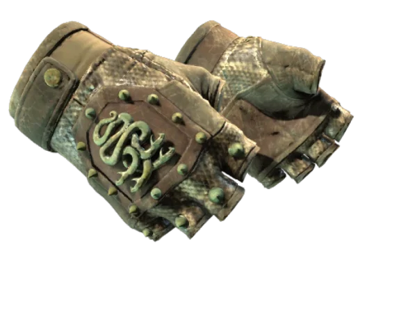 ★ Hydra Gloves | Rattler (Battle-Scarred)