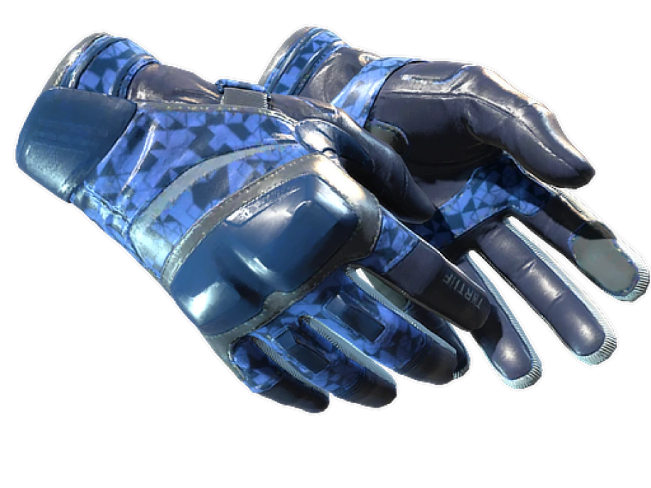 ★ Moto Gloves | Polygon (Factory New)