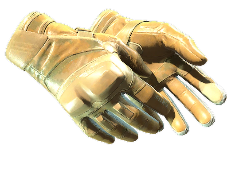 ★ Moto Gloves | Transport (Factory New)