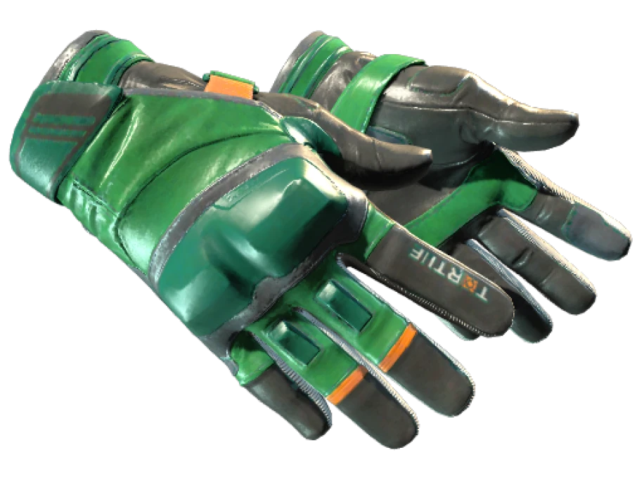 ★ Moto Gloves | Turtle (Minimal Wear)