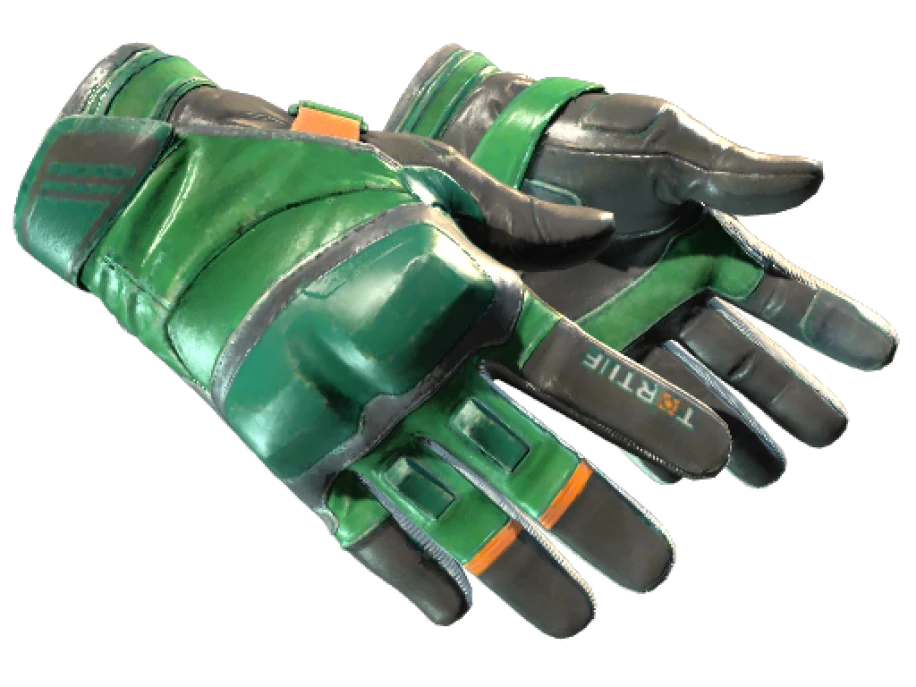 ★ Moto Gloves | Turtle (Well-Worn)