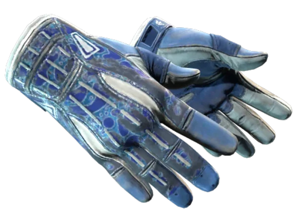 ★ Sport Gloves | Amphibious (Battle-Scarred)
