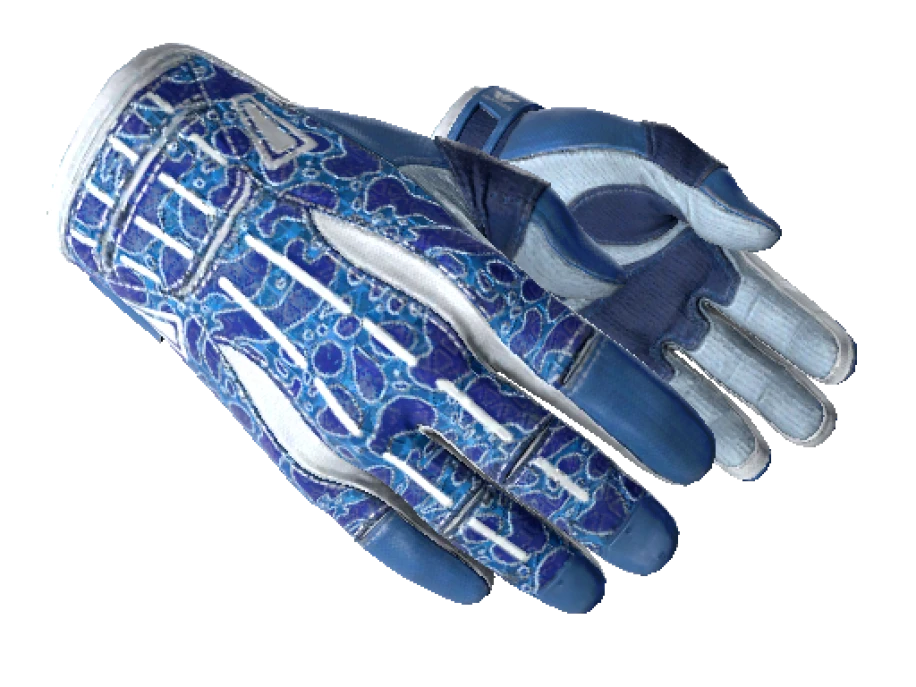 ★ Sport Gloves | Amphibious (Factory New)