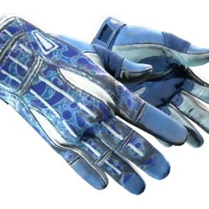 ★ Sport Gloves | Amphibious (Field-Tested)