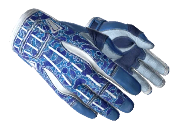 ★ Sport Gloves | Amphibious (Minimal Wear)