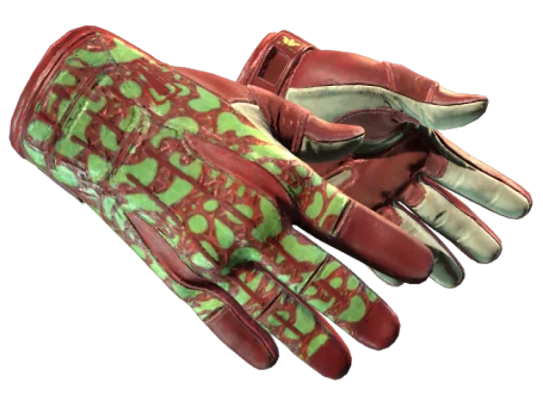 ★ Sport Gloves | Bronze Morph (Minimal Wear)