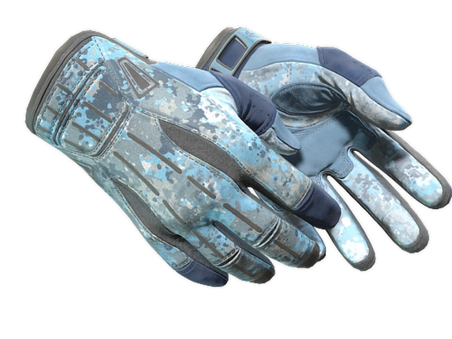 ★ Sport Gloves | Frosty (Factory New)
