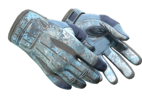 ★ Sport Gloves | Frosty (Field-Tested)
