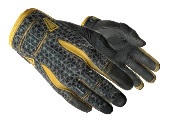 ★ Sport Gloves | Omega (Well-Worn)