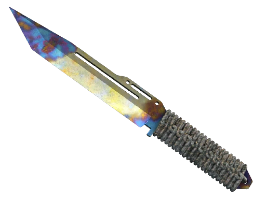 ★ StatTrak™ Paracord Knife | Case Hardened (Field-Tested)